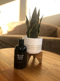 Beauty Blend Conditioner